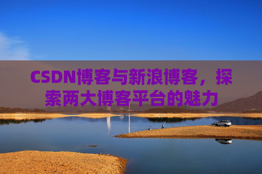 CSDN博客与新浪博客，探索两大博客平台的魅力